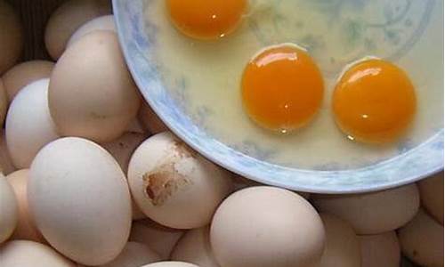 怎样辨别土鸡蛋和饲蛋_如何鉴别土鸡蛋和饲养鸡蛋